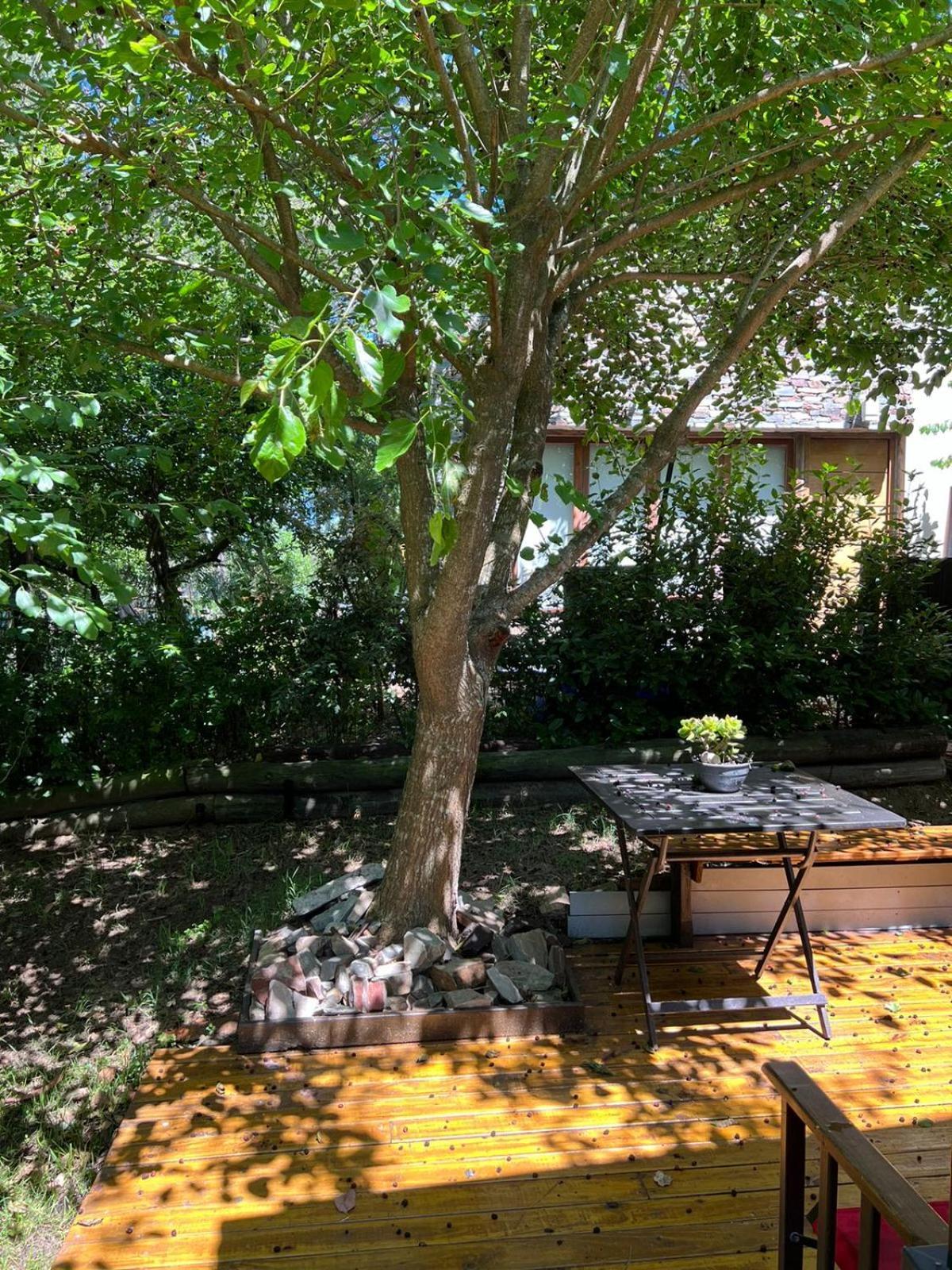 Apartment La Morocha
